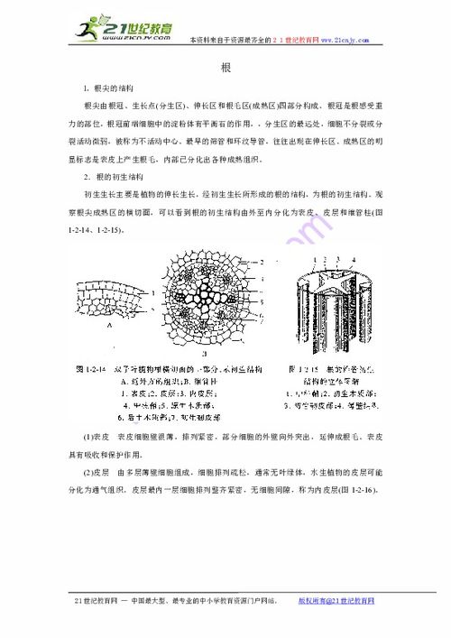 植物根的相关高中知识