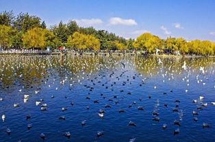 去昆明旅游住哪里好,去昆明住哪好,昆明旅游住哪方便