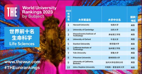 2023年泰晤士世界大学排行榜 泰晤士报公布2023世界大学排名