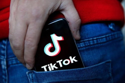 TikTok新功能对于有什么影响_tiktok廣告設定