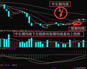 股票的均线是哪一条。什么颜色