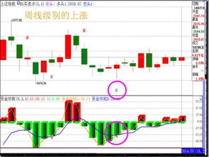 怎么在股票软件上加行业等信息