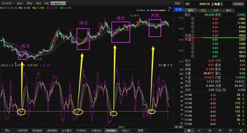 同一种股票我分三次各买了100股，第三次买入的价格怎么算