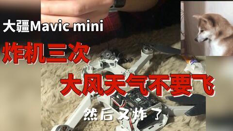 大疆Mavic mini三次炸机分析,大风天气不要飞