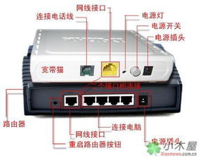 一个wifi路由器,用网线可以带两台电脑吗