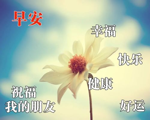 新版早上好问候语图片大全 2021最新早安祝福语带图片 