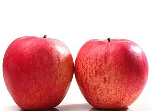 苹果的种类有哪些,苹果的种类有哪些