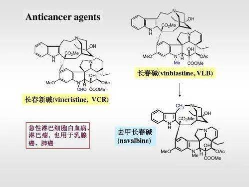 医学生才懂的笑话有哪些