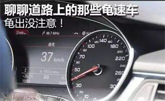 开车越慢越安全 那些开 龟速车 的醒醒吧