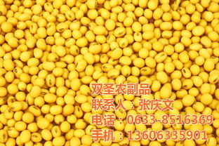 大量出售黄豆 双圣农副品 已认证 黄豆最低优惠价格 