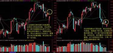 有什么创业项目回本周期比较短的？