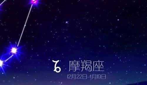 害怕 社交 的星座 不是胆小,只是不想虚伪演戏,所以宁愿孤独