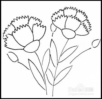 康乃馨怎么画简单又漂亮,花卉图片简笔画？
