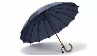 良小伞为什么叫伞根硕