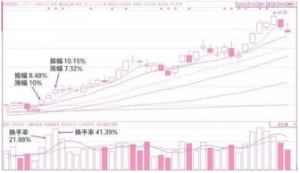 高换手率连续几天排名于一市【比如说深圳的股票排名】的前20名