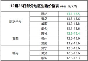 现在山东猪价是多少？