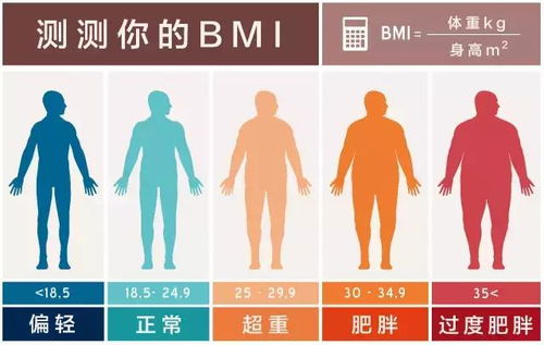 一成年男性的bmi值为22,人体体质指数标准