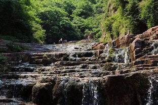 有山有水有美景,河南省内这12个原生态小众景区全部免门票