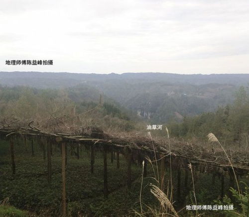 陈益峰 天鹤抱蛋,石柱国宝级风水大地,八百年冉氏辉煌