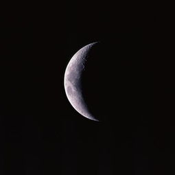 1月天象 魔羯座新月 图