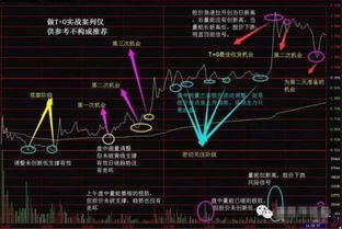 请问中小盘股票有那些，