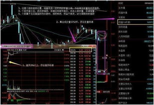 在9点15分到在开盘之前怎样看集合竞价的股价和成交额？