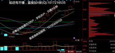 无记名股票和记名股票在股东权利方面有差别吗?谢谢了