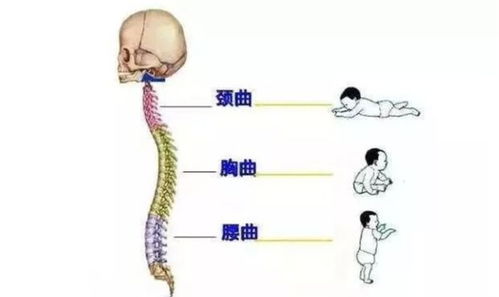 小儿推拿李波 关注脊柱侧弯,关爱儿童脊柱健康,让孩子挺直腰杆