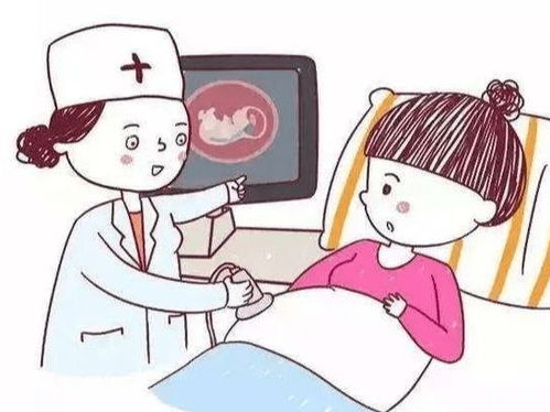 孕前筛查？怀孕前检查什么项目内容