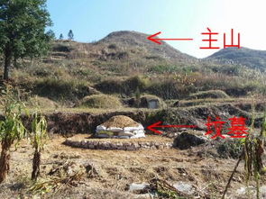坟墓左边青龙山高于右边白虎山,对哪房有害