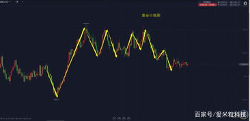 新手炒外汇需要关注哪些东西