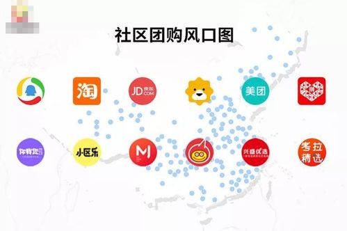 排名前10的社区团购