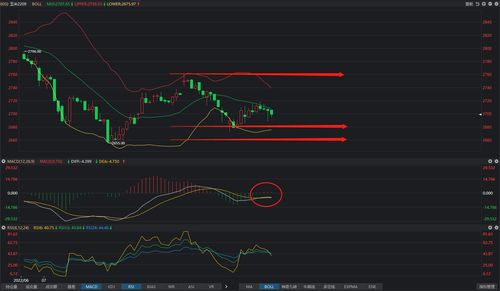 玉米行情今日玉米价格走势