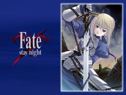 关于 Fate Stay Night 的一切 