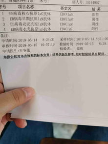 检查为阳性是什么意思