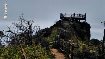 青山绿水莽山行 莽山 森林温泉3天自由行