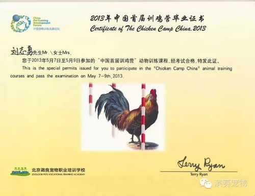国际认证,高级宠物训导师 刘志勇