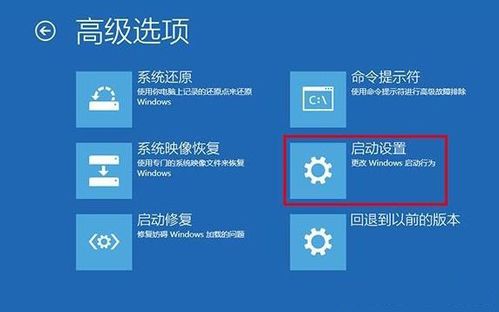 win10系统怎么进入网络安全模式