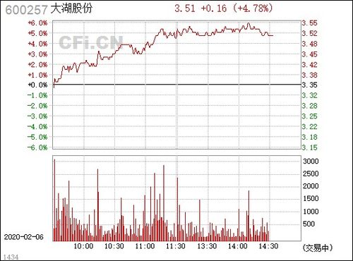 大湖股份以后怎么样