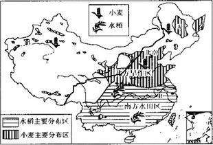 读图.回答问题 1 西部地区的农业生产部门是畜牧业.制约其农业发展的主要自然因素是水源. 2 从干湿状况来看.我国以种植业为主的地区.主要分布在湿润和半湿润地区 