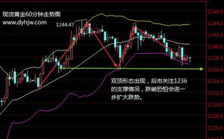 今日黄金价格走势图哪里可以查询到？哪里德最准确呢？