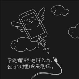 金阳光雷克萨斯 