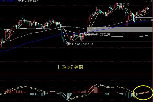 我昨天从同花顺里买的股票今天怎么显示没没买进而且昨天委托的记录今天也不见了昨天明明是显示买进来的