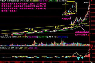 不想当龙炮了、股价、