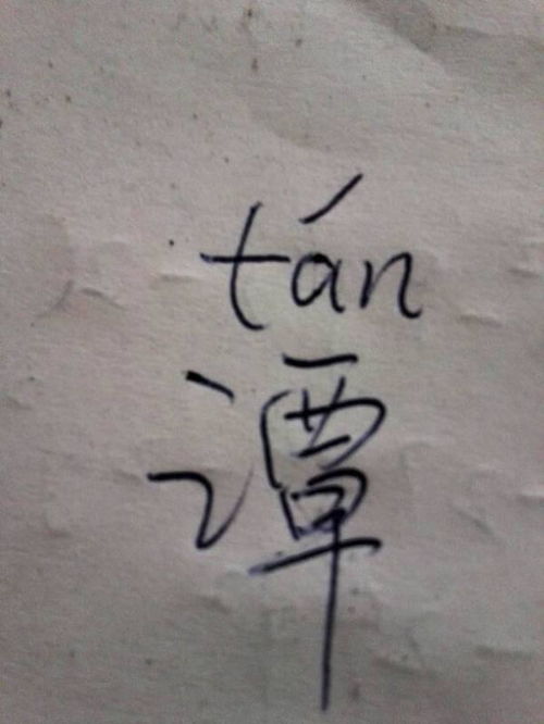 谭,这个字念什么 