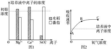 水稻和番茄培养液中钙离子镁离子的浓度高于初始浓度是因为植物对水的吸收速率高于对离子的吸收速率，那么