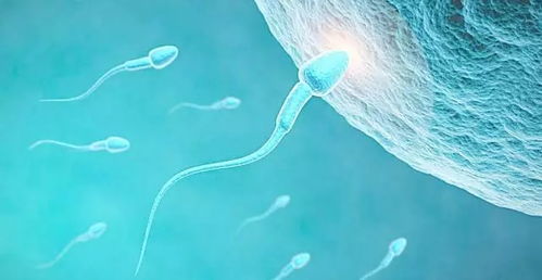 只要有一个精子正常就能生育 真的是这样吗 