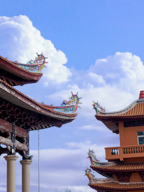 泉州 免费绝佳景点 海上寺庙 洛伽寺 