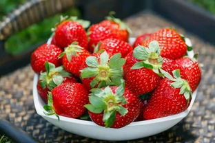 徐州2018草莓最新采摘地图,人手一份,速速收藏 