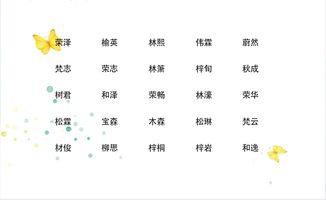 木字旁男孩取名 300个清新俊逸的好名字